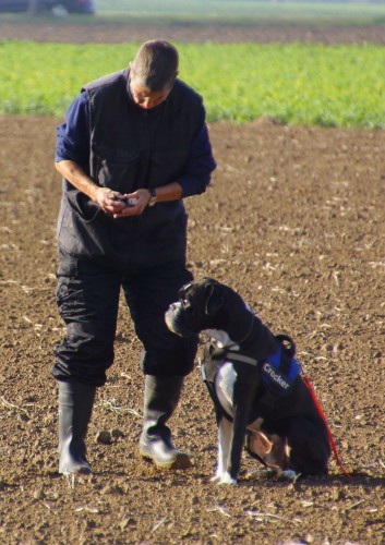 dsc03755__1542793549.jpg