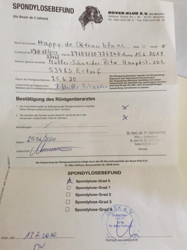 happy_spondyloseergebnis__1595090313.jpg